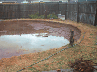 Photo of pool