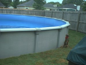 Photo of pool