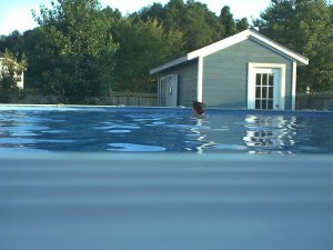Photo of pool