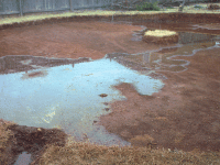 Photo of pool