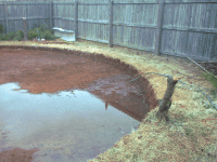 Photo of pool
