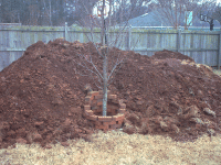 Photo of dirt pile