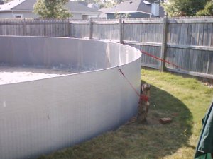 Photo of pool